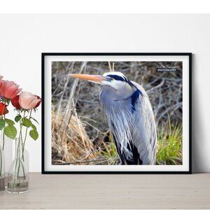 8x10 Heron Photography Print Bird Oil‎ Painting Fine Art Photography Print